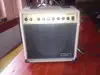 ALLSOUND MG20R Guitar combo amp [August 29, 2013, 10:24 am]
