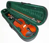 MPM instrument V11 Geige [March 23, 2022, 5:36 pm]