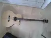 Jack and Danny Brothers ABG-1C Electro Acoustic Bass [November 9, 2013, 5:54 pm]