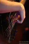 OLP MM2 tuningolt Bass guitar 5 strings [January 4, 2014, 6:39 pm]