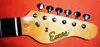 Encore Stratocaster Electric guitar [January 31, 2014, 11:51 am]