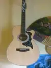 Uniwell  Electro-acoustic guitar [February 13, 2014, 8:34 am]