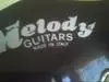 Melody  Electric guitar [March 1, 2014, 1:08 pm]