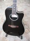 Crafter  Electro-acoustic guitar [May 5, 2011, 4:18 pm]