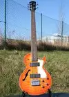 AcePro AB-315 Bass guitar 5 strings [March 13, 2018, 10:42 am]