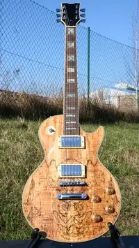 Weller ELP-550 Electric guitar [July 11, 2018, 12:54 pm]