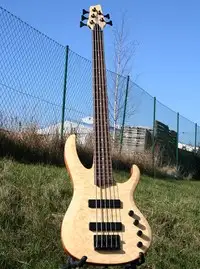 AcePro SM-50 Bass guitar 5 strings [July 11, 2018, 1:16 pm]