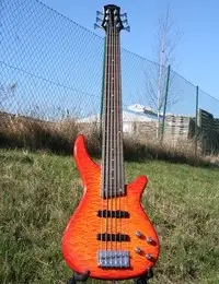 AcePro AB-206 Bass guitar 6 strings [March 22, 2022, 1:16 pm]