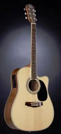 Jack and Danny Brothers D-110 CE Acoustic guitar [January 24, 2024, 10:20 am]