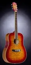 Jack and Danny Brothers D-235 Acoustic guitar [January 9, 2017, 5:40 pm]
