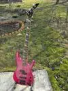 Fenix By young chang Bass Gitarre [August 27, 2014, 9:29 pm]