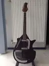 Rogue Szitárgitár Electric guitar [September 14, 2014, 2:30 pm]