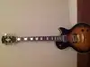 Apollo Les Paul Electric guitar [September 16, 2014, 6:53 pm]