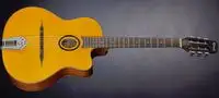Richwood RM70NT Acoustic guitar [January 23, 2024, 6:56 pm]