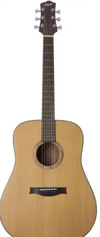 Stanford Durango D-40 CM Acoustic guitar [August 26, 2019, 4:58 pm]