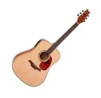Classic Cantabile WS-2 Electro-acoustic guitar [March 6, 2022, 10:52 am]