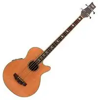 Classic Cantabile AB-40 Electro-acoustic bass guitar [December 20, 2019, 6:12 pm]