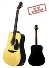 Guvnor GA100N Acoustic guitar [May 28, 2011, 2:40 pm]