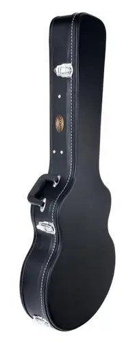 Rocktile Deluxe Padded Guitar Case for Western Guitars Tvrdý kufor [January 24, 2024, 1:58 pm]