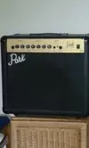 Park By Marshall G25R Combo de guitarra [March 21, 2015, 2:23 pm]