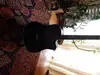 Axa  Electro-acoustic guitar [March 25, 2015, 2:07 pm]