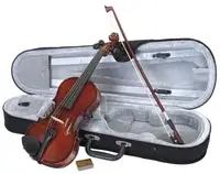 Classic Cantabile Student feles Violin [February 23, 2022, 6:00 pm]