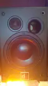 Custom made Dynaudio BM5 Studio speaker [August 10, 2015, 7:14 am]