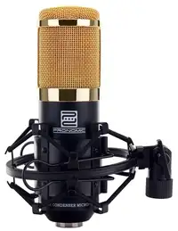Pronomic CM-100 Condenser microphone [January 24, 2024, 11:12 am]