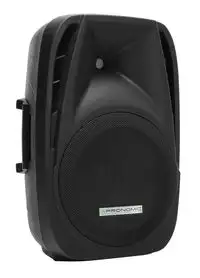 Pronomic PH12 passive speaker 160300 Watt Lautsprecher [January 24, 2024, 10:42 am]