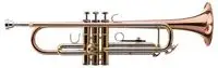 Lechgold TR-14G Bb Trumpet [January 24, 2024, 10:28 am]