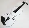 MPM instrument Fehér Geige [June 20, 2012, 3:13 pm]