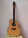 MSA RB120 teknőhátú Electro-acoustic guitar [July 15, 2011, 9:25 am]