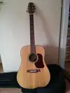 Walden D550 Acoustic guitar [March 4, 2016, 12:55 pm]