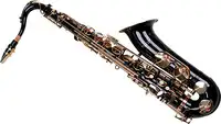 Karl Glaser 1420 Tenor Bb Saxophone [January 23, 2024, 1:46 pm]