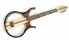 MPM instrument Sojing 020X-U-ES-2 silent Electro Acoustic klassische Gitarre [January 28, 2017, 11:00 am]