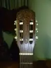 Giannini AWN 31 Acoustic guitar [May 19, 2016, 6:34 pm]