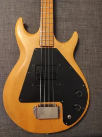 Gibson Grabber Bass Gitarre [September 21, 2024, 1:44 pm]