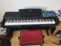 YAMAHA YDP-145B Arius Digital piano [July 18, 2024, 9:01 am]