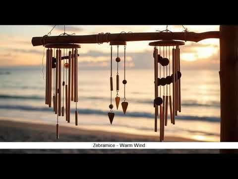 Zebramice - Warm Wind