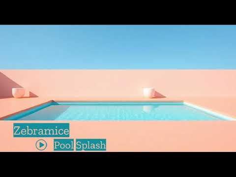 Zebramice - Pool Splash