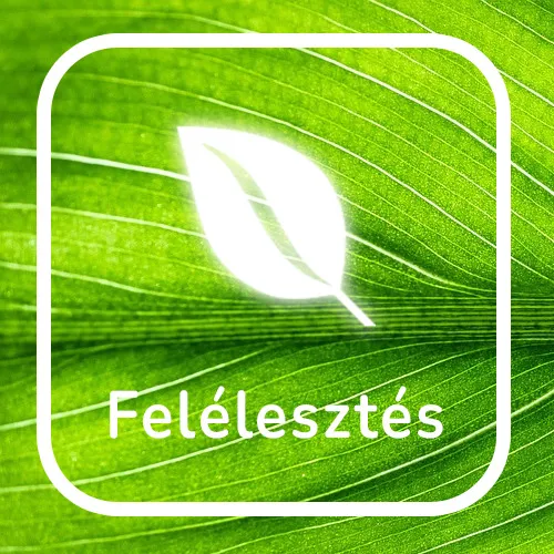 Végre itt a hirdetés Felélesztés!