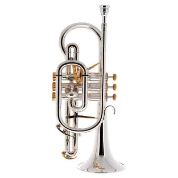 Besson BE2028-2 Prestige Bb-Cornet