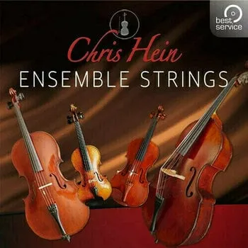 Best Service Chris Hein Ensemble Strings (Digitális termék)