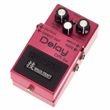 Boss DM-2W Delay