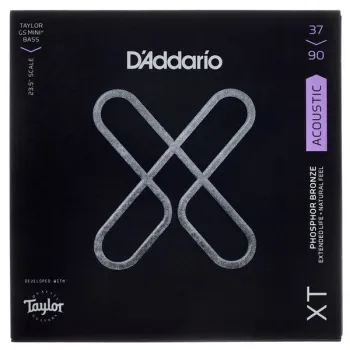 Daddario Light Acoustic Bass GS Mini