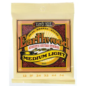 Ernie Ball 2003 Earthwood Bronze