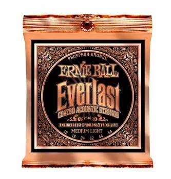 Ernie Ball 2546 Everlast