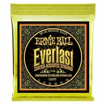 Ernie Ball 2558 Everlast