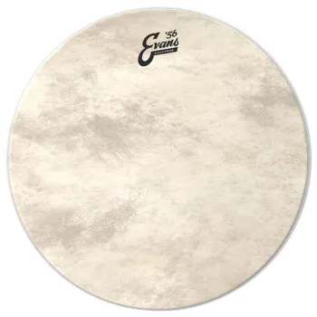 Evans 16 Calftone Bass  Tom