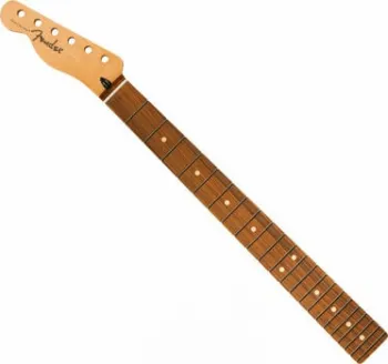 Fender Player Series Pau Ferro